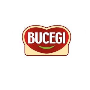 Bucegi