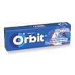 Orbit Winterfrost guma de mestecat cu arome de menta si mentol 10 buc 14 g