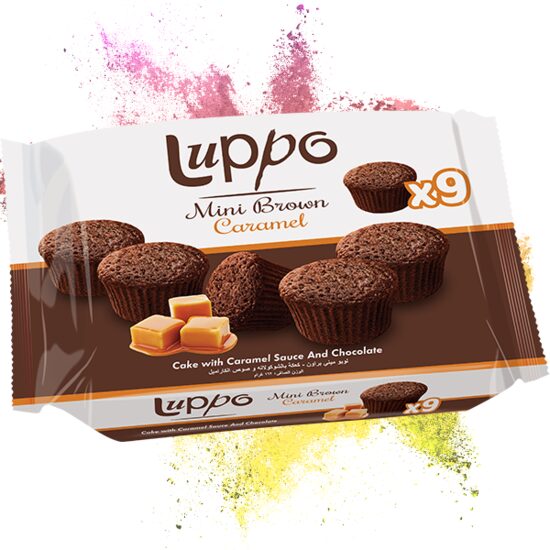 Prajitura cu sos de caramel si ciocolata Luppo Mini Brown, 162g