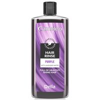 Loțiune pentru păr Cameleo Hair Toner Violet 200ml