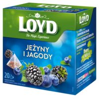 Loyd Blueberry & Blackberry – Ceai de fructe cu afine și mure, 20 plicuri