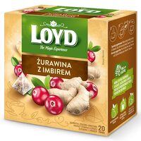 LOYD Ceai Cranberry & Ginger – Ceai de fructe cu merișoare și ghimbir, 40 g